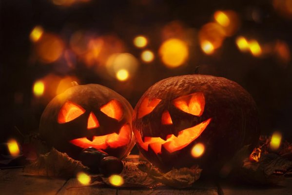 Czarodziejskie Halloween w Hotelu Białowieskim